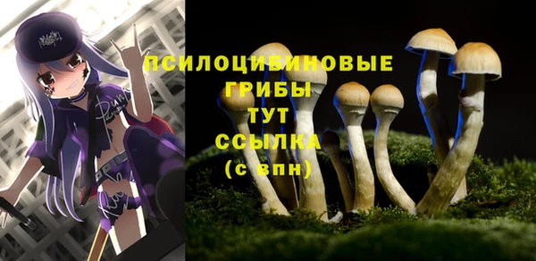 хмурый Баксан