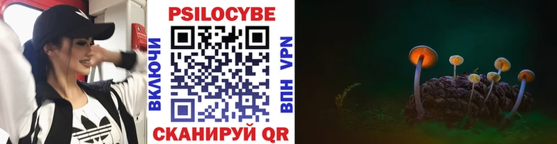 наркошоп  мега как зайти  Псилоцибиновые грибы Magic Shrooms  Козельск 